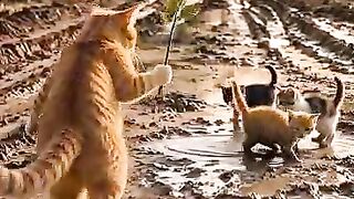 Oyen is angry with her son