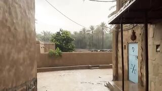 محمود الهنائي