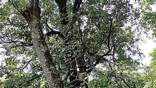 Nature of Konkan 🥬🥬🥬