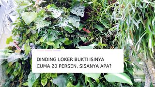 Loker bekas ternyata punya nilai