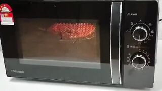 Kenapa Microwave Bisa Memanaskan Makanan Tanpa Api?