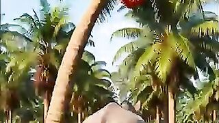 Video viral 195