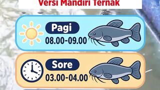Independent Livestock Version of Catfish Feeding Schedule