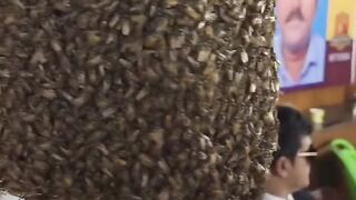 The bee man from india