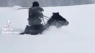 Horse in ice very interesting video