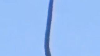 Spider VS Snake. Spider attack on snake
