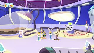 Bugs Bunny Builders | Coyote Is Done with the Beep Beep