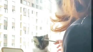 Fanny video