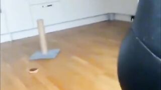 Funny ???????? funny ????????????????