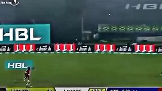 Cricket