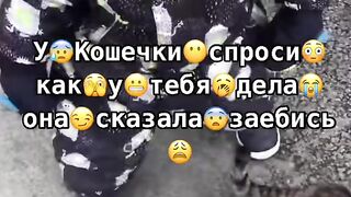 Она сказала заебись