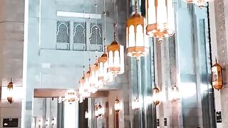 Most Beautiful ❤️ video