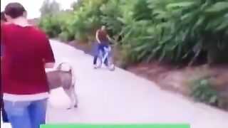 boy and dog funny