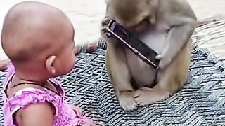 Funny little child and monkey