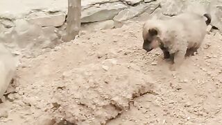 Cute babies