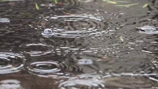 Beautiful rain