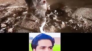 Very funny video
