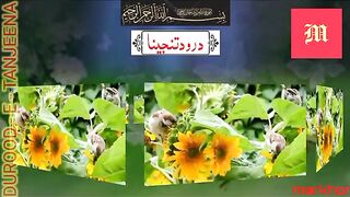 Darood e Tanjeena-Darood Tanjeena-Tanjeena-Tanjeena Darood-Darood Tanjeena Ka Wazifa-markhor