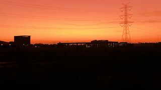 Beautiful Orange Sunset 🌅 | Relaxing Nature Sounds of Crickets & Birds