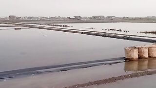 Tambak garam