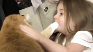 Cat funy 4