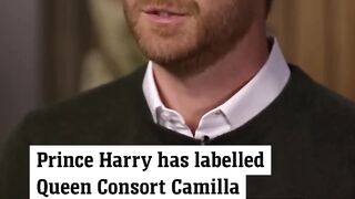 conversation prince harry