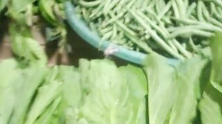 Beli sayur 2