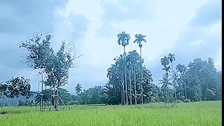 Nice view in my village