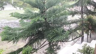 ASMR Heavy Rain
