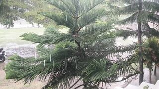 Nice ASMR heavy rain for sleep