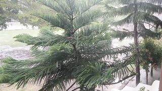Short ASMR heavy rain for sleep