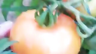 O melhor meio de ter bons frutos! 🥰