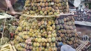 Durian montong 4
