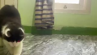 Mimo kucimgku