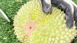 Durian motong 6