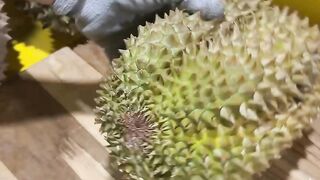 Durian montong 8