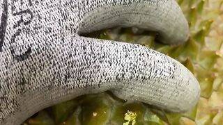 Durian montong 9