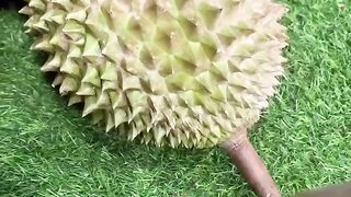 Durian 10
