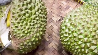 Durian 12