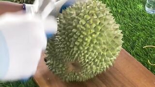 Durian Montong medan 4