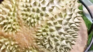 Durian montong 14