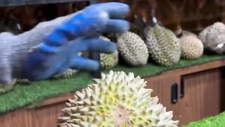 Durian Montong Medan #fyp #fyp #fyp
