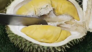 Durian 17