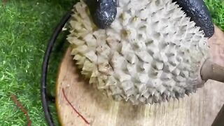 Durian 18