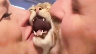 Kissing cats and getting their honest reactions 😂💋