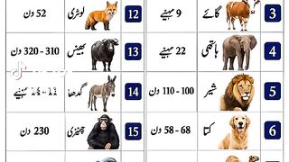 English 11