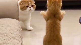 S oyen gemoy Lg hiburan dangdut temenin anaknya joget 😅🤣🤣