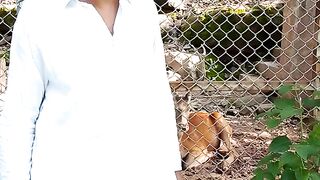 Animal 94