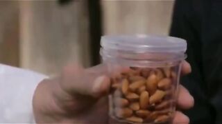 Kacang bukan Sembarang Kacang