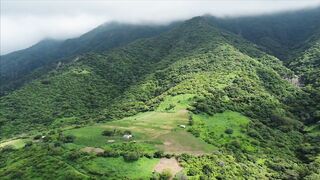Breathtaking Mountain View & Peaceful Green Landscapes
